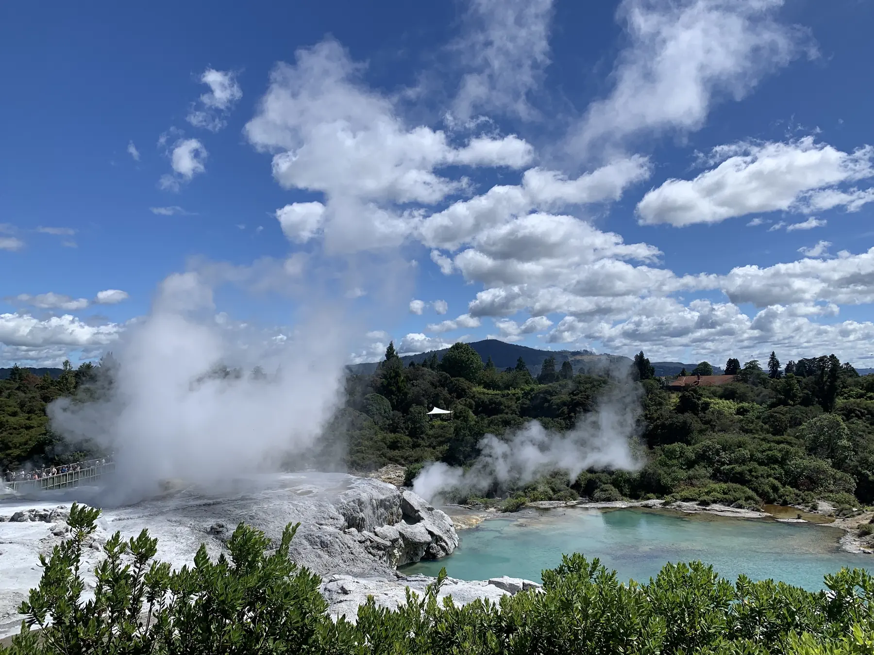 The Pōhutu geyser at Te Puia, Rotorua, sending a column of hot steam into a blue, cloud-streaked sky, beside a turquoise thermal pool surrounded by native bush